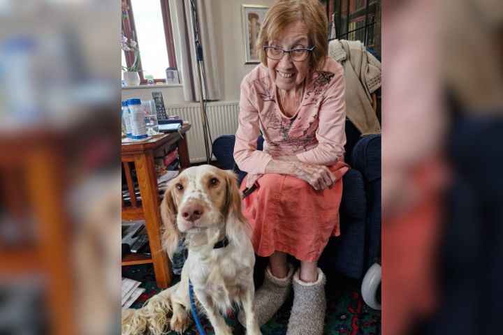 Rekindling Joy with a cocker spaniel and home care in Ilkley